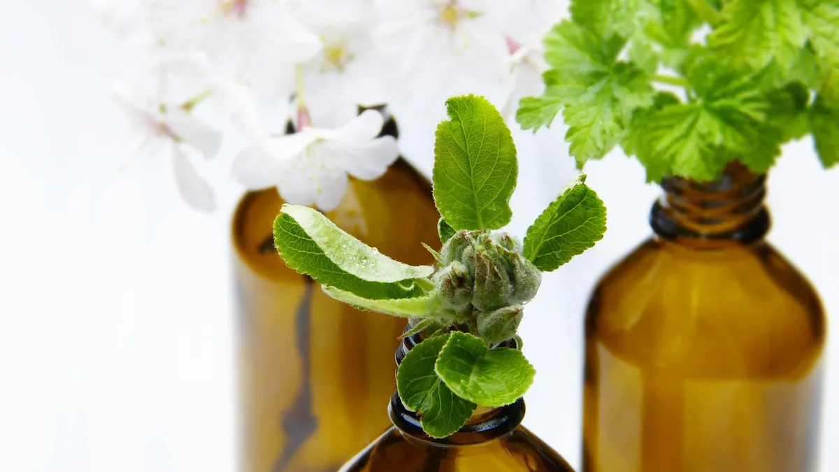 glass, bottles, vial, apple blossom, pharmacy vial, aromatherapy, essential oils, wellness, fragrance, perfume, spa, beauty, cosmetics, personal hygiene, skin, fragrances, alternative medicine, homemade, naturally, natural cosmetics, aromatherapy, aromatherapy, aromatherapy, aromatherapy, aromatherapy, essential oils, essential oils, essential oils, essential oils, perfume, spa, natural cosmetics