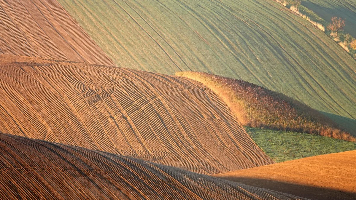 field, wavy, autumn, nature, landscape, field, field, field, field, field, autumn, nature, nature, nature
